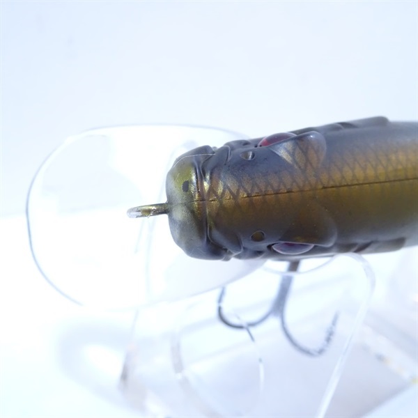 ハスフラット１８０Ｆ＃６０闇ハス